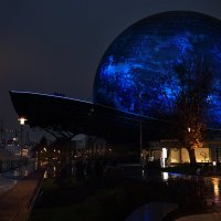 Калининград :: Лилия .