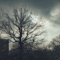 Теплый ноябрь :: Сергей В