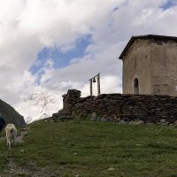 **** :: Алексей Соловьев