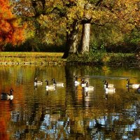 Солнечный день ноября :: Юрий. Шмаков