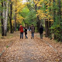 В осеннем парке... :: Людмила Фил