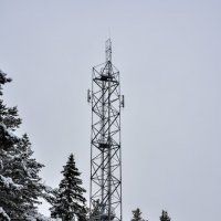 Сотовая :: Владимир VS