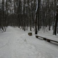 Каким был конец осени 2023 :: Андрей Лукьянов