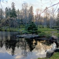 В парке Кадриорг у пруда :: Veera V