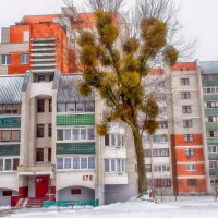 Жил фонд. :: Виктор Орлов