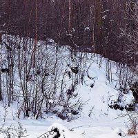 Декабрь...С крутого береге! :: Владимир 