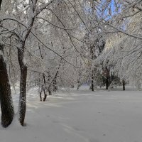 Снежный парк на пороге зимы :: Татьяна Лютаева