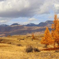 Курайские горки :: елена беликова
