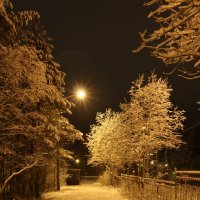 Долгие вечера :: Ольга 