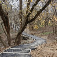 Ростовские зарисовки :: Александр Гапоненко