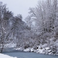 Первый снег :: Рита Симонова