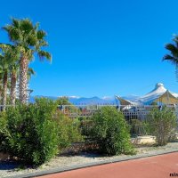 Адлер. Имеретинская (Олимпийская) набережная :: Нина Бутко