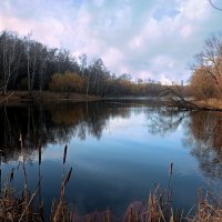 Осень на исходе.. :: Татьяна Помогалова