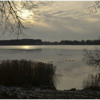 *** :: Aleksandr Gal