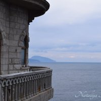 Природа Крыма :: Amazing Cosmea