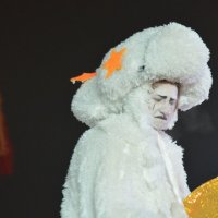 Профессиональная эмоция. :: Наталья Вязигина