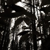 Фотография :: Денис Безногов