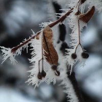 ** :: Зоя Мишина