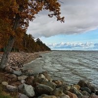 Осенний променад.. :: Татьян@ Ивановна