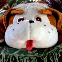 Лучший друг-Степашка. :: nadyasilyuk Вознюк