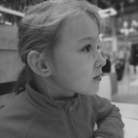 Енотики в ушках :: Артём 