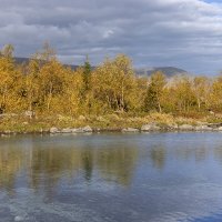 **** :: Алексей Соловьев