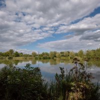 Второй день осени... :: Николай Гирш