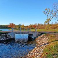 Осенние прогулки. :: Лия ☼ Осенние прогулки. :: Лия ☼