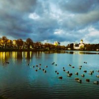 Утки :: Андрей Сосновский