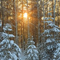 Морозный закат :: Сергей Винтовкин