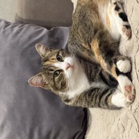 Маруся :: Валентина .