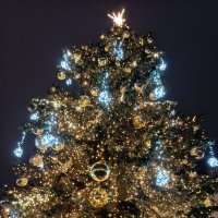 Рождественская-новогодняя елка :: Veera V