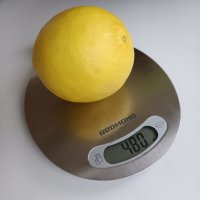 Лимончик с подоконника... :: Ирина *