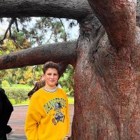 Древо желаний. :: Александр Владимирович Никитенко