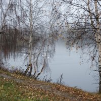 ** :: Владимир Безбородов