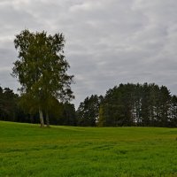 МИХАЙЛОВСКОЕ. :: Виктор Осипчук