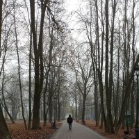 *** :: Валентина Береснева