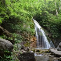 Природа Крыма :: Amazing Cosmea