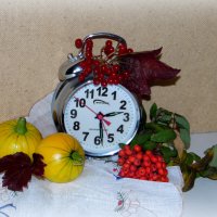 Время осени ушло. :: nadyasilyuk Вознюк