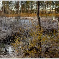 *** :: Aleksandr Gal