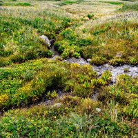 ГОРНЫЕ РУЧЬИ :: HART BAD