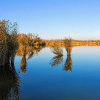 Ноябрь. :: Владимир 