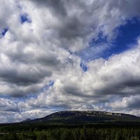 Васильки зацветают :: Hope 
