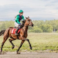 Скачки рысью :: SanSan 