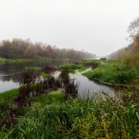 ** :: Виталий Емельянов