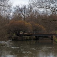 ***** :: юрий поляков