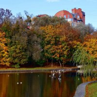 Зоологический пруд :: Сергей Карачин Зоологический пруд :: Сергей Карачин