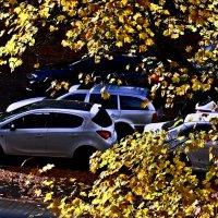 Осень 67 :: Алексей Кузнецов