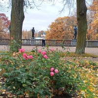 Осень :: Сапсан 