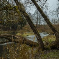 ... :: Николай